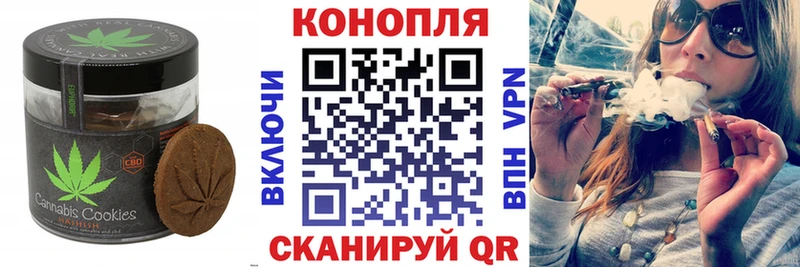 Canna-Cookies конопля  omg маркетплейс  Болотное 