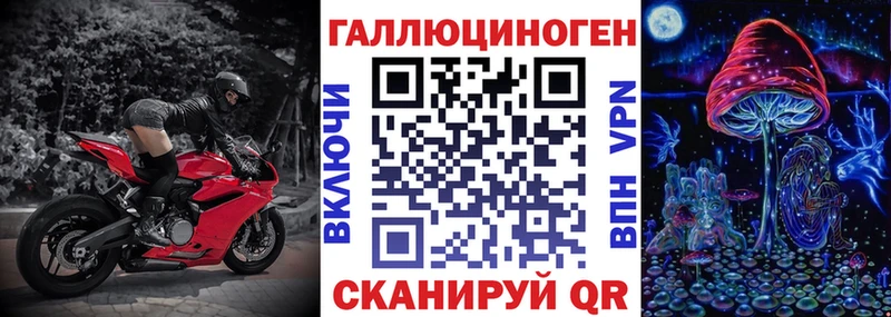 Галлюциногенные грибы Psilocybe  где продают   Болотное 